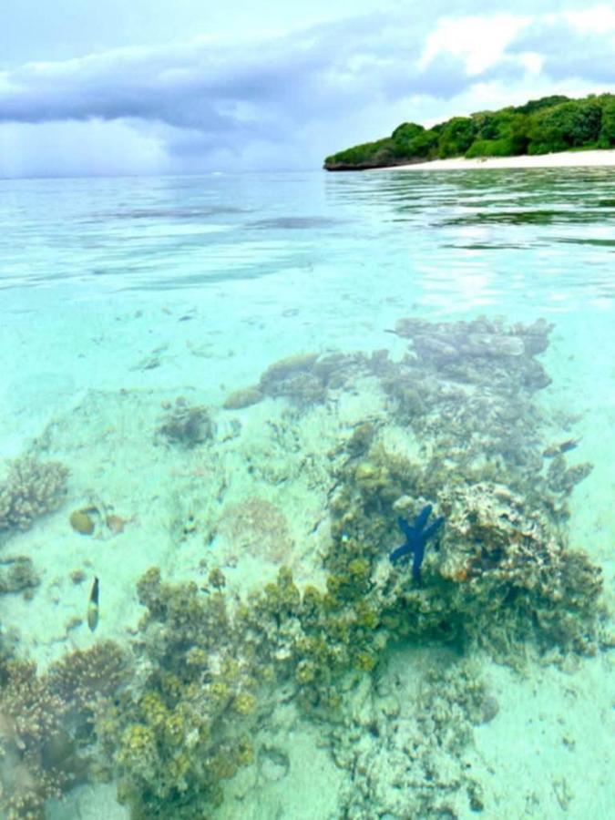 Vanua Eco-Ventures - 4