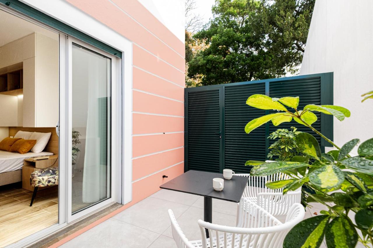 Azores Cozy Suite, Romantic, Free Parking