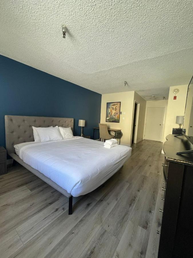 Modern Apart in Beverly Hills - 2