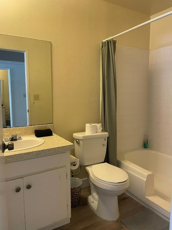 Modern Apart in Beverly Hills - 4