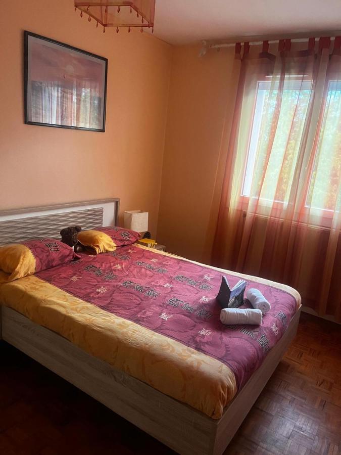 Appartement T3 Parking - Bordeaux - 2