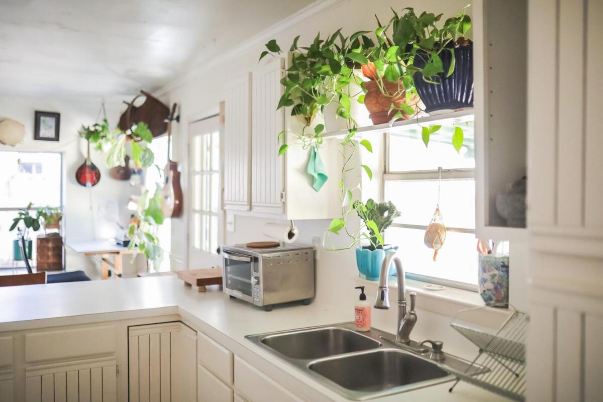 Stylish Musician's Flat With Creekside Garden