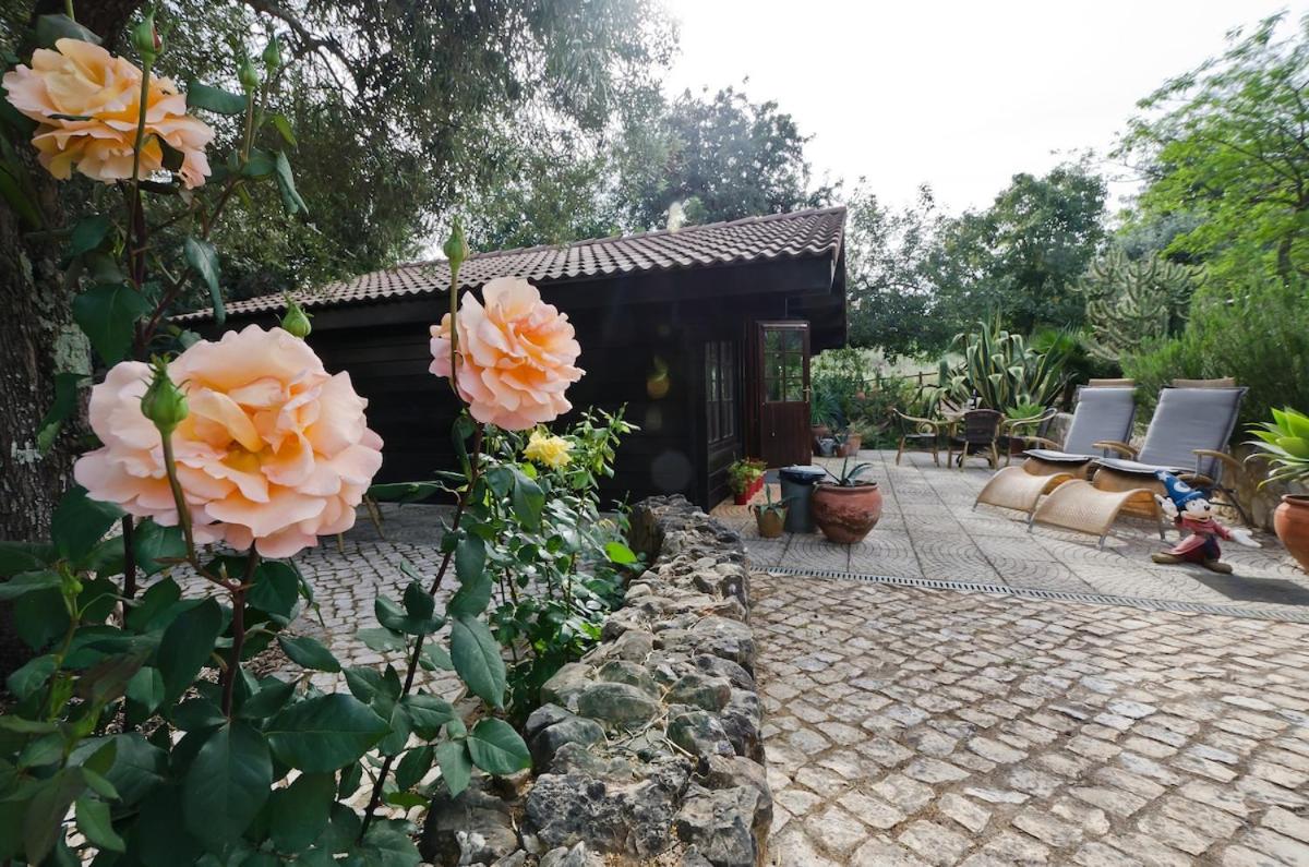 Private Wooden House - 3