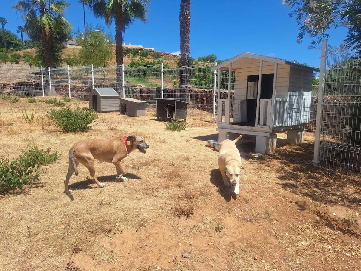 Private Wooden House - 5