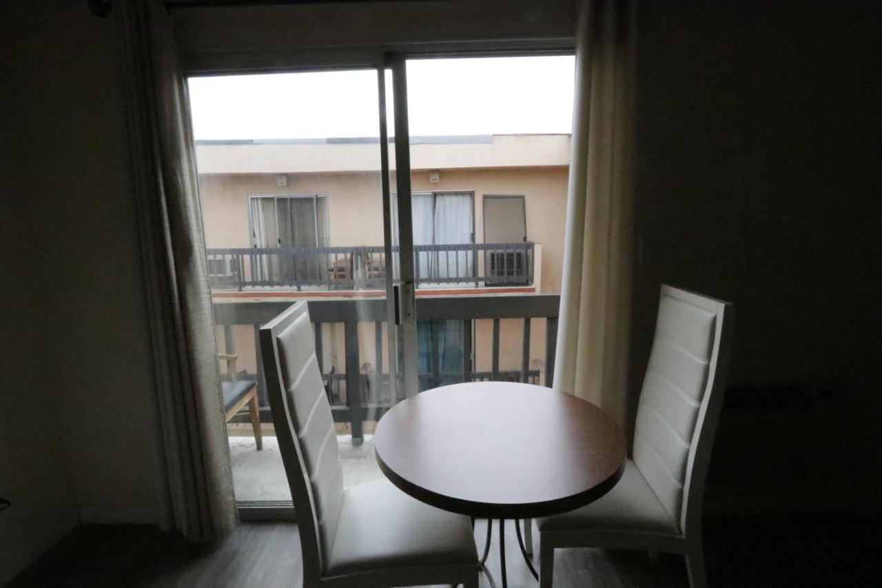 Affordable 1 Queed bed Apartment in Beverly Hills - 5