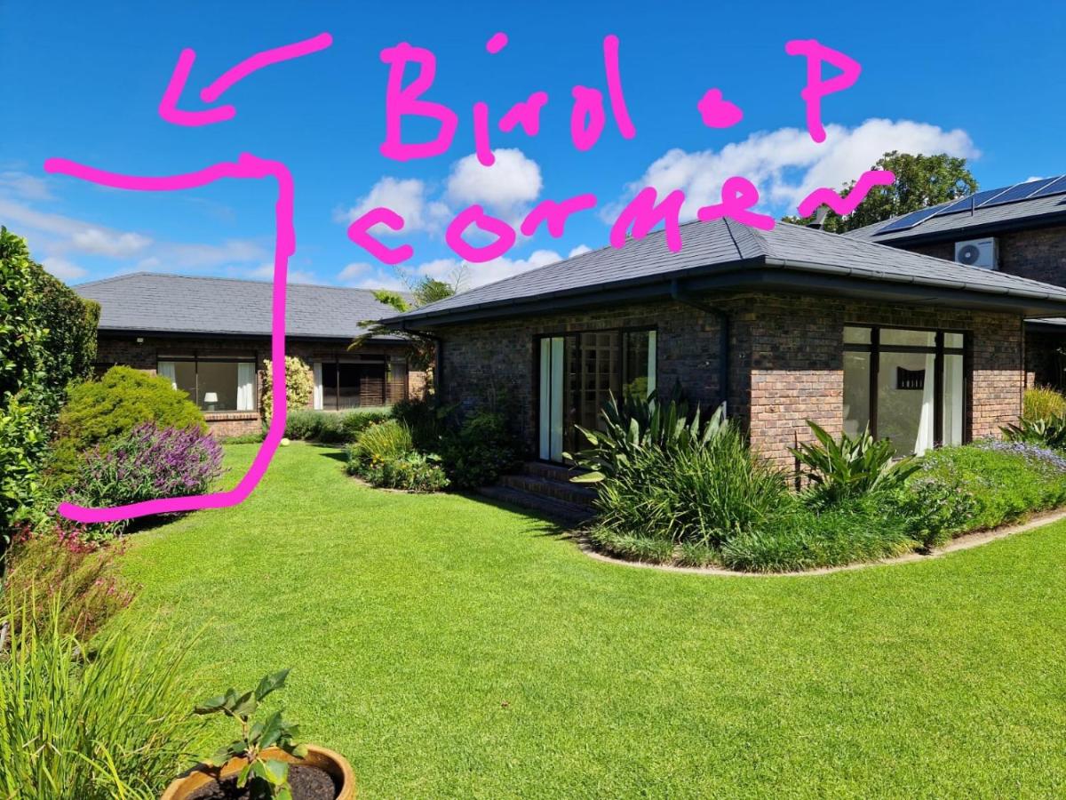 Bird of Paradise Flower Corner - 2