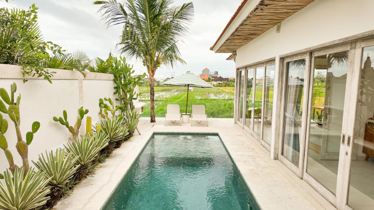 Villa Padi Sunset Berawa, Canggu by Sandara - 4