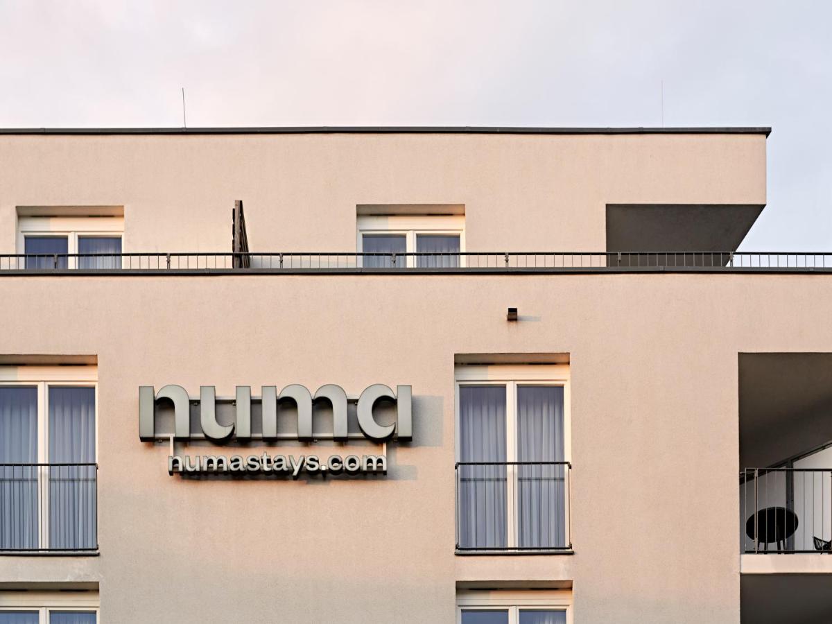 Numa Berlin Boxer - 4