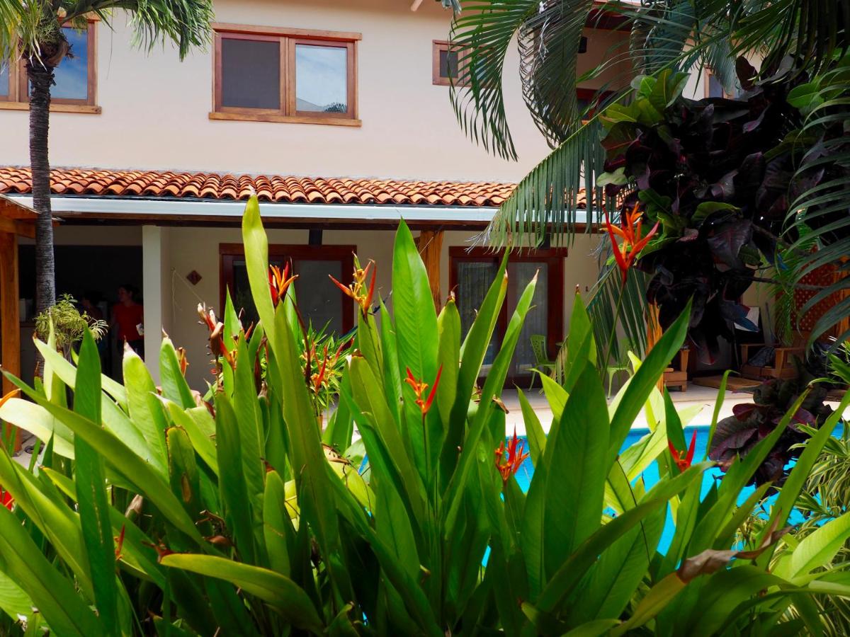 Ten North Tamarindo Beach Hotel photo