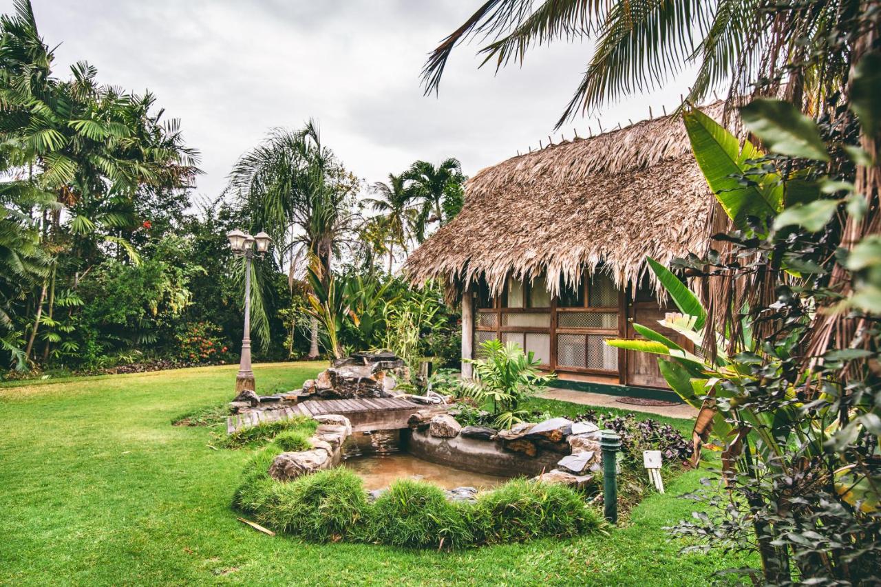 Kariwak Wellness Village, Hotel and Holistic Haven - 5