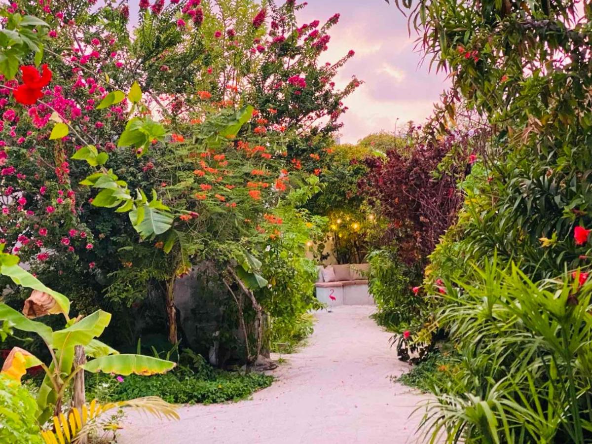 Coral Castle - Goidhoo Maldives - 5