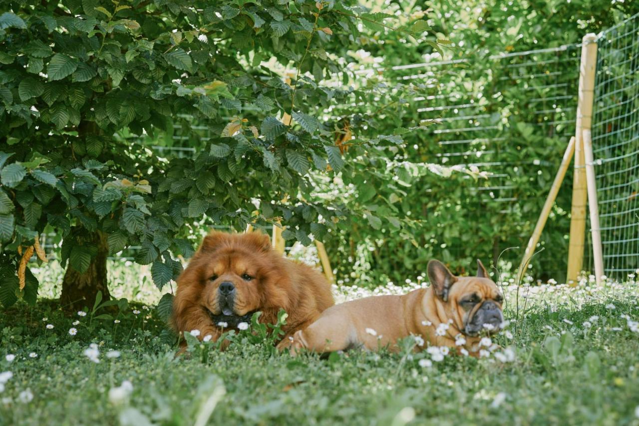 Roman Waves Room - 2 MIN Metro Marconi - 15 MIN Colosseo - A-C & WIFI - 2