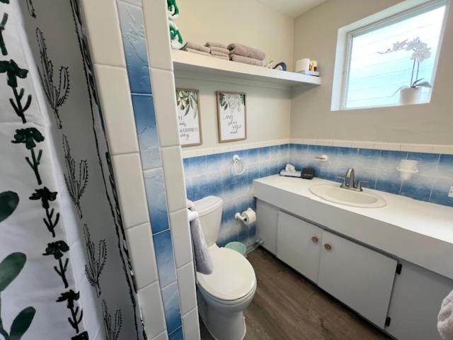 The Green Iguana Hotel - 3