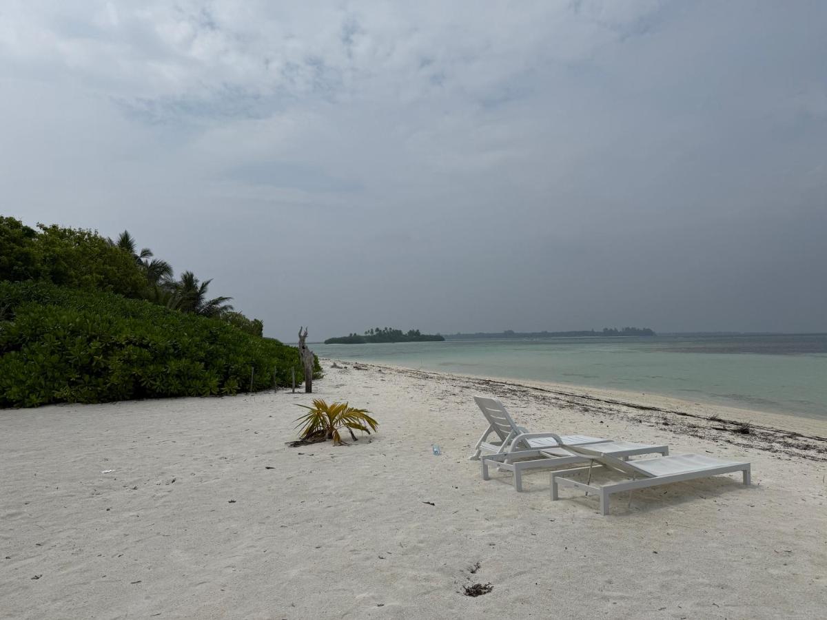 Coconut Palm Dhidhoo - 2