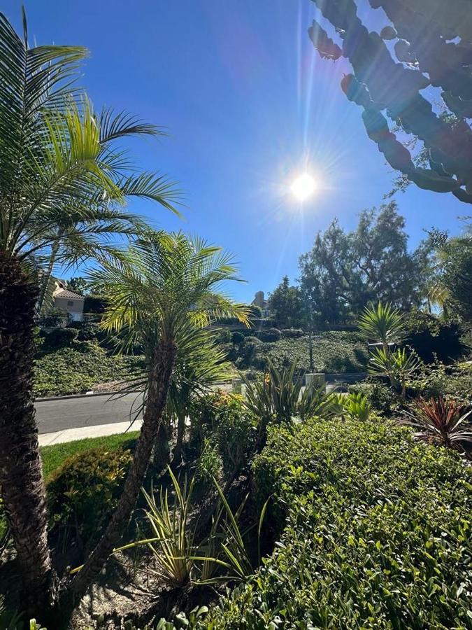 Cozy stay by Anatolian - 5