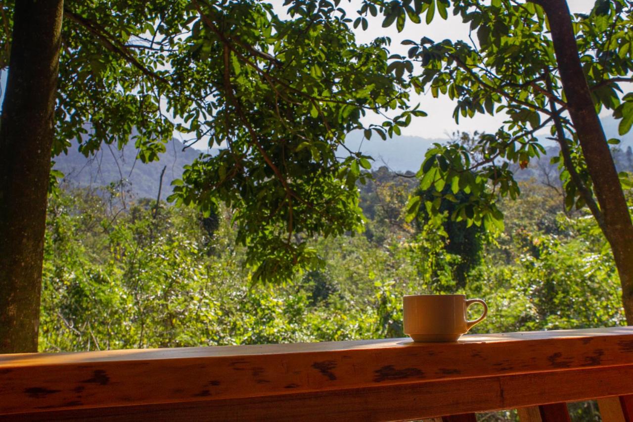 Don Pascual - Hotel & Gastronomia - 3