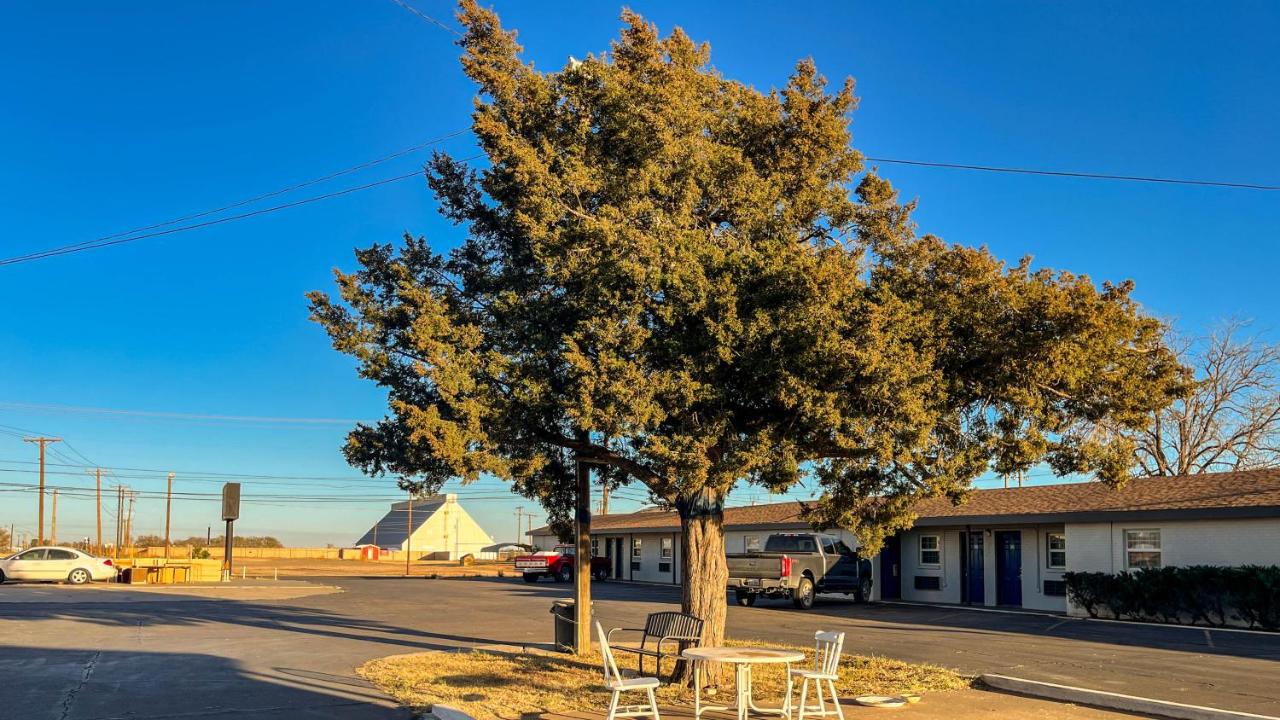 LAMESA MOTEL — photo 19