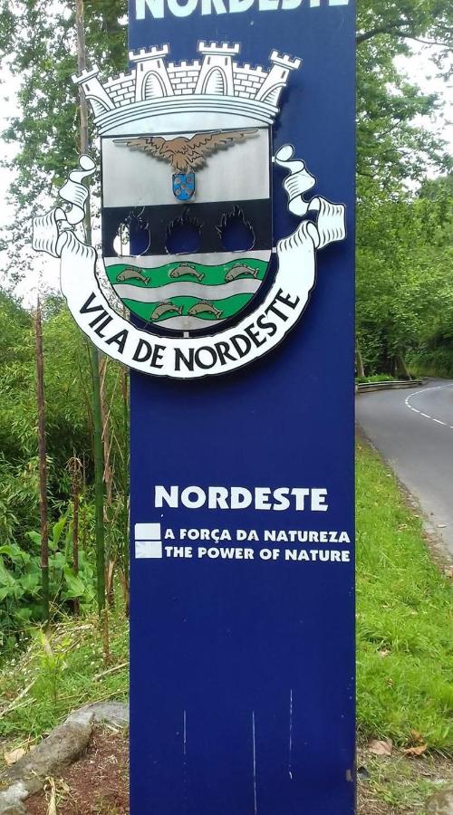 Basaltic Guest House - 4