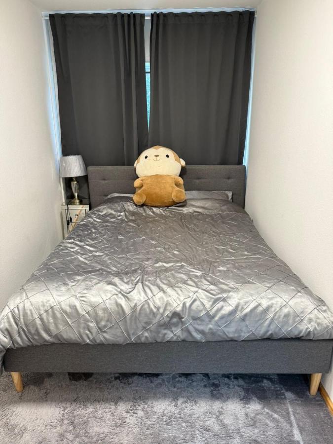 Spacious Cosy Apartment - 2