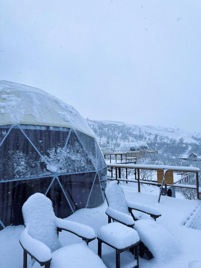 EcoHouse Glamping — 5