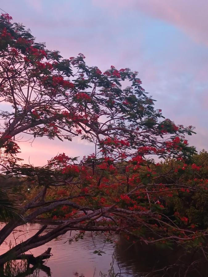 Backpackers Cozy Camping Vibe SeaSide HomeStay with Airport Shuttles