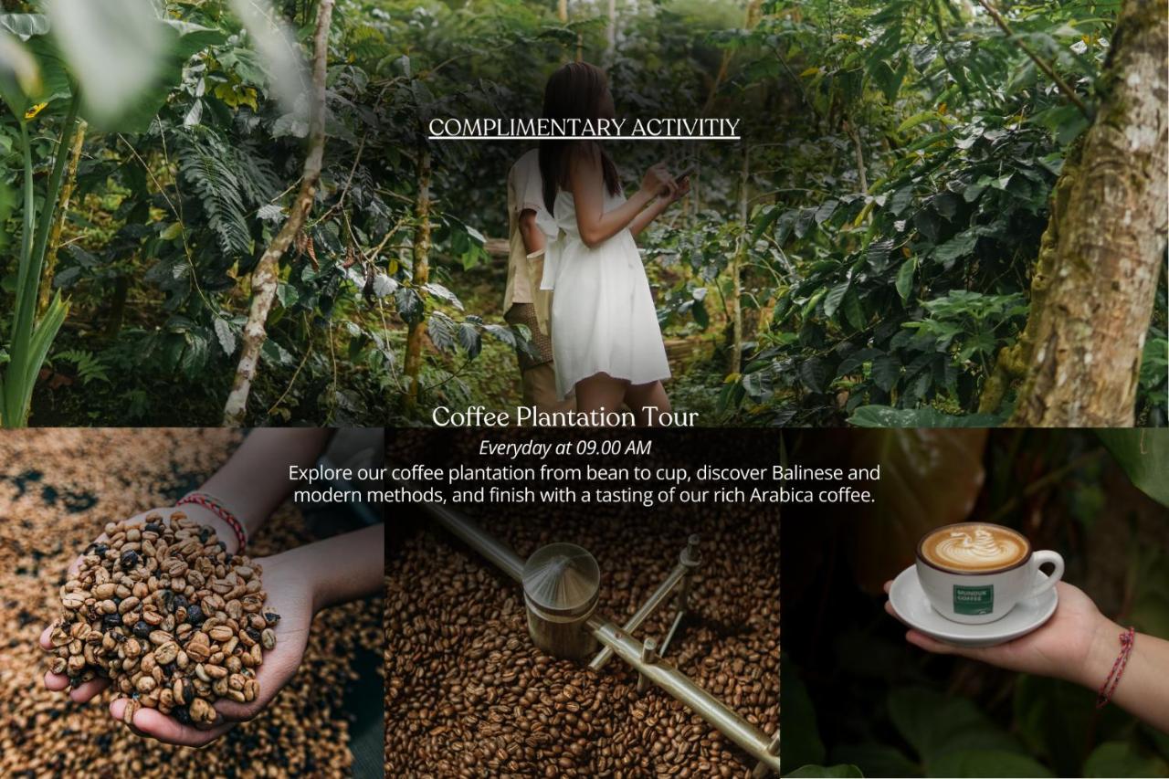 Munduk Moding Plantation Nature Resort - 5