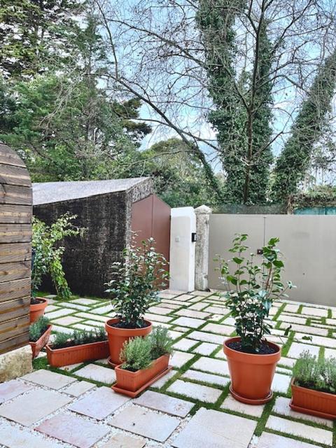 Passeio Sintra Collection-Soft Opening - 5