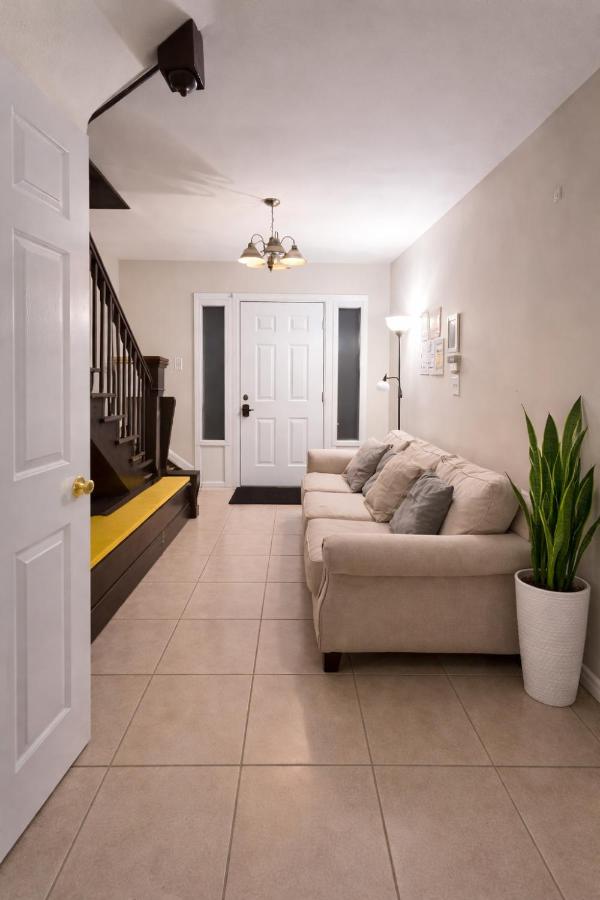 Hollywood Comfort Vibe LA