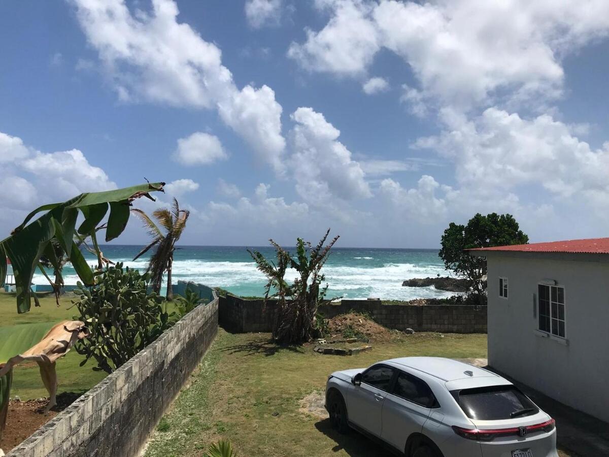 Alvin's Dream Hideaway - 2