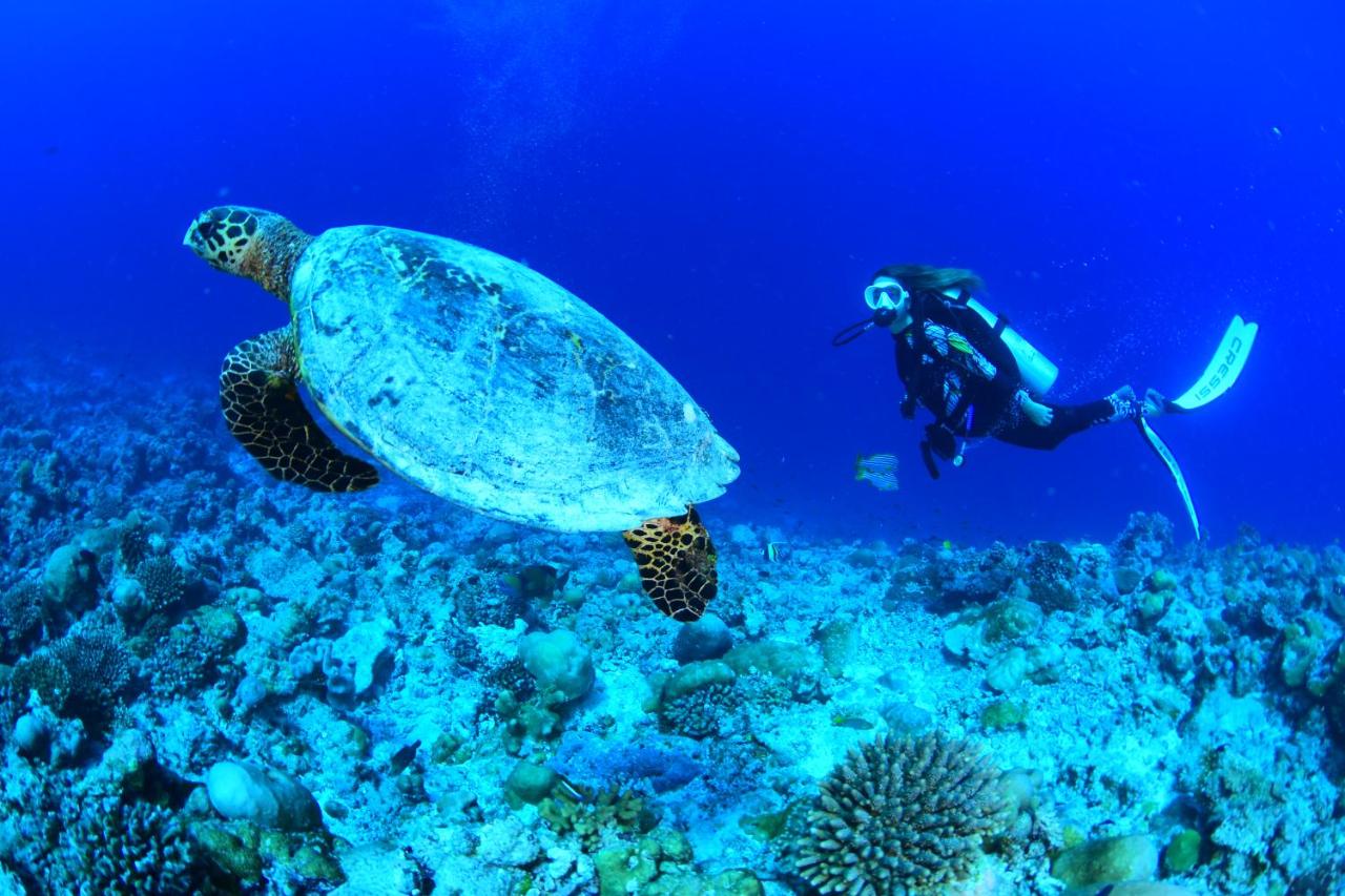 Alma Maldiva, Beach Hotel - 5