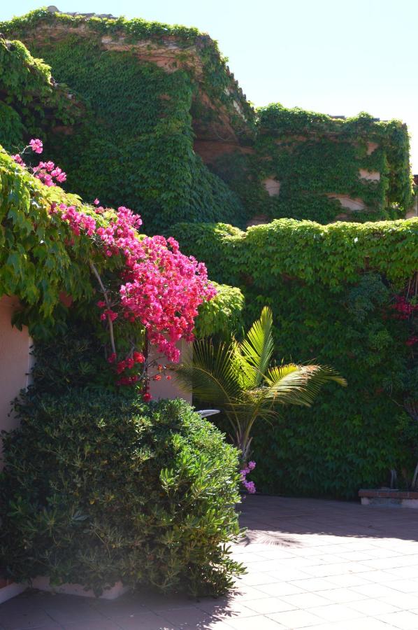 Residence Fenicia photo