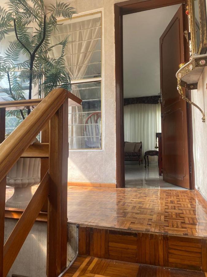 Viveros de Coyoacan - 3