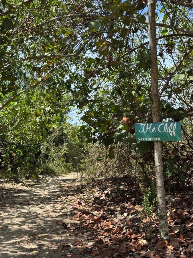 Sweet Palm Villa - Spacious luxury villa with pool and Beach oasis - 5