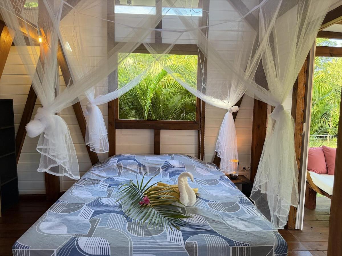 Ecolodge petite villa Marie-Galante - 5