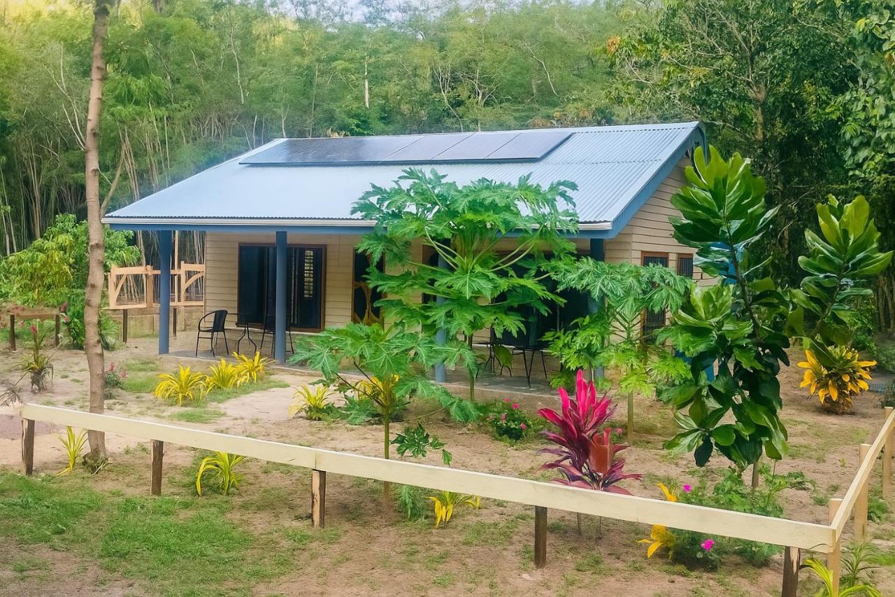 Wai Makare Beach Retreat - 5