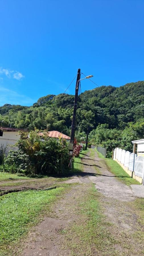 Le Lys de la paix - 4