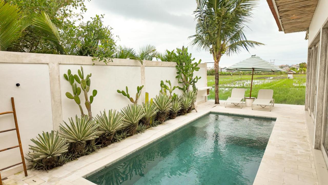 Villa Padi Sunset Berawa, Canggu by Sandara - 2