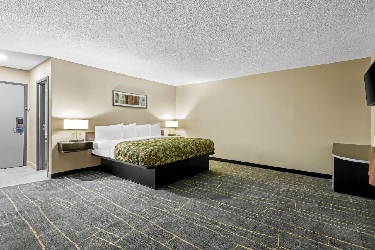 Odyssey Inn — photo 16