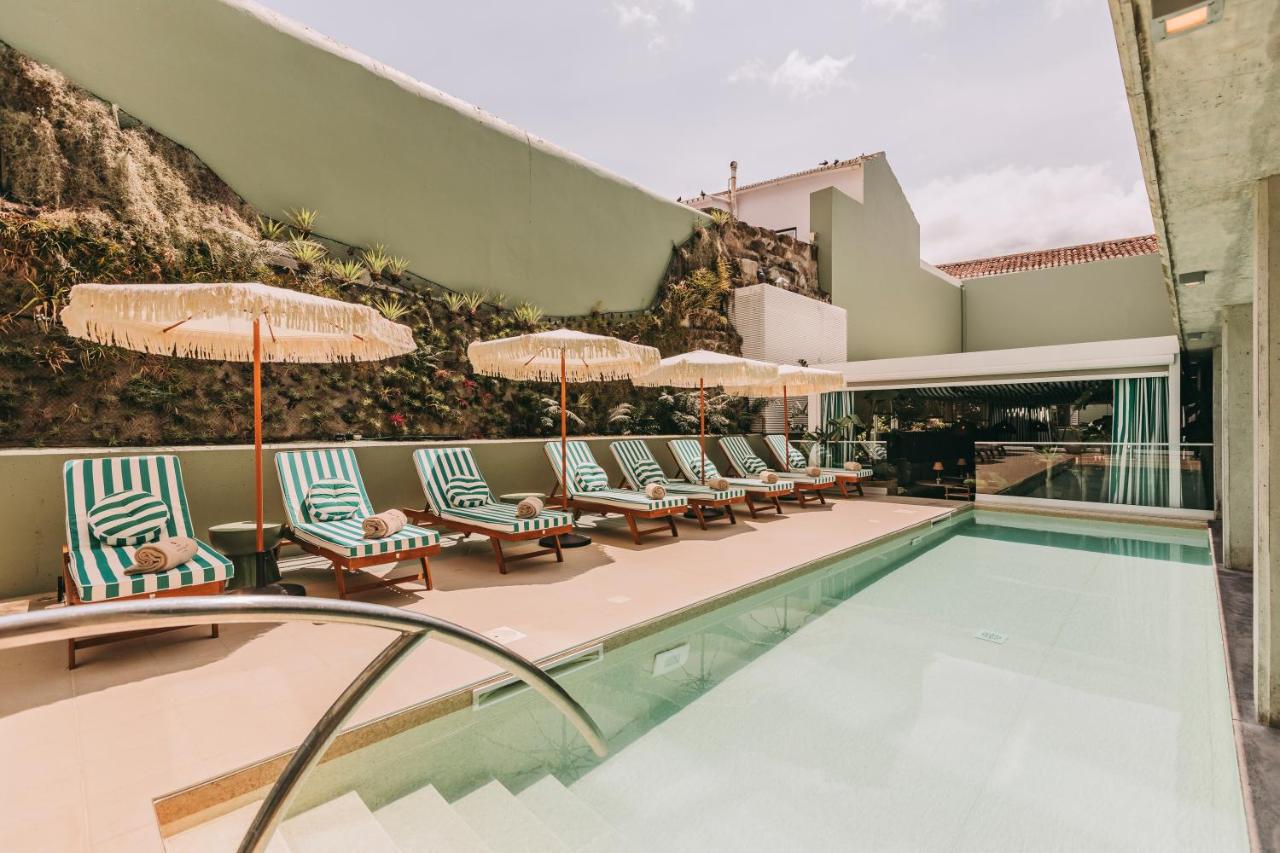 Torel Terra Brava - 4