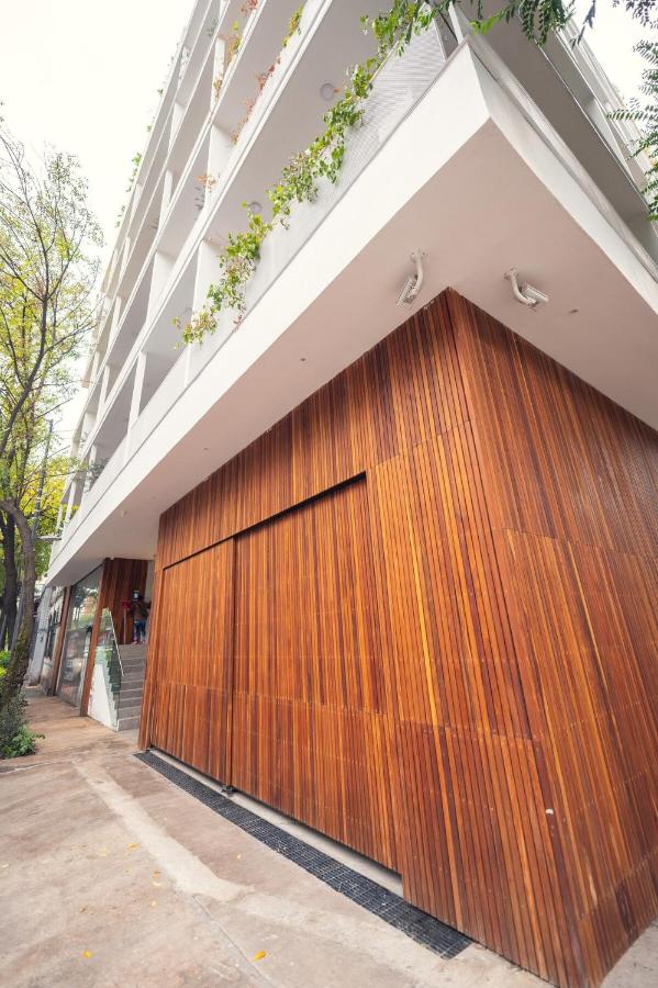 Luxury Apartment in Roma Norte - 4