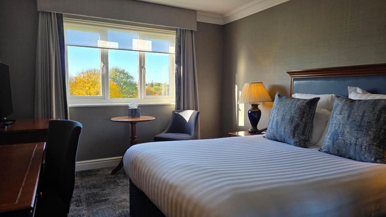 Superior Double Room with View