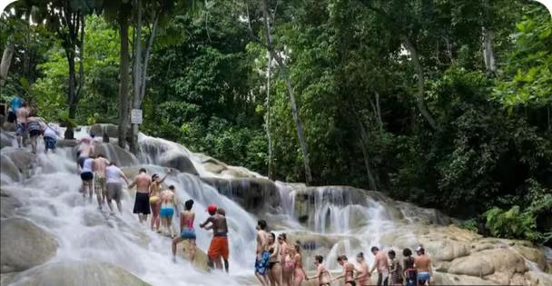 Cozy 2 of 5 Apartment in the Heart of Ocho Rios - 5