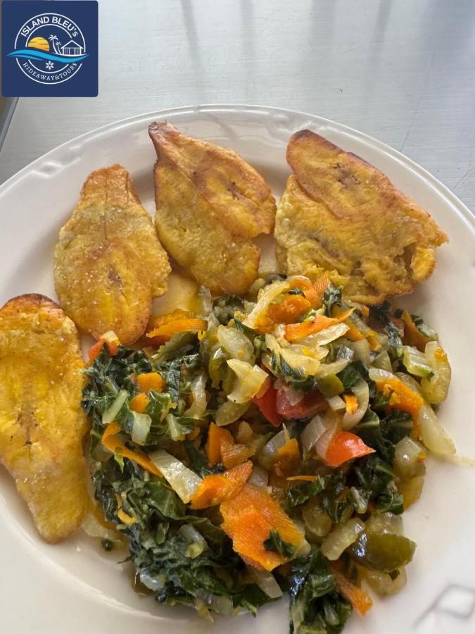 Island Bleu Hideaway & Tours - 3