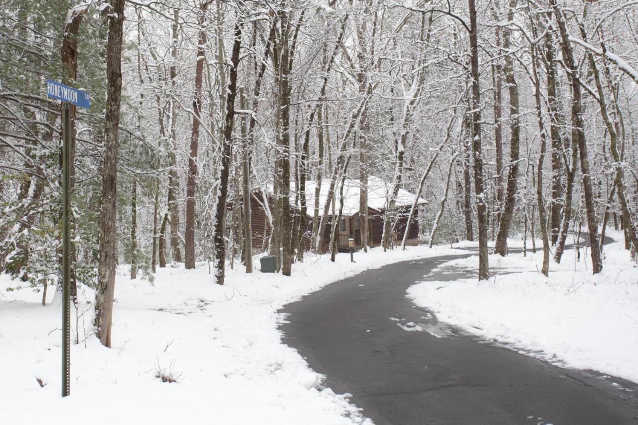 Forrest Hills Mountain Resort — photo 14
