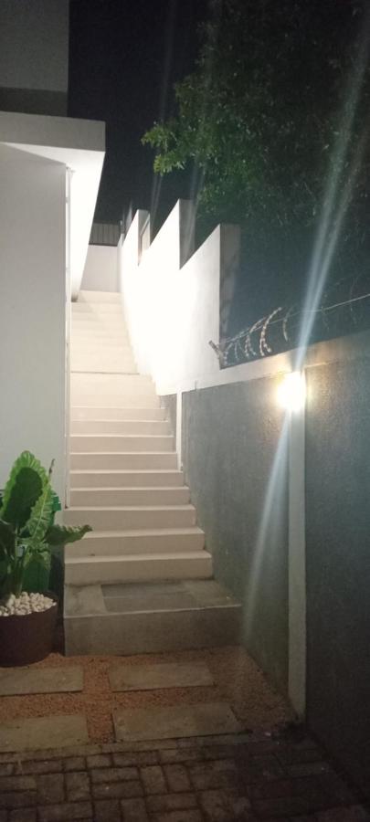 Colocasia, Maison Blanche, Pamplemousses - 2