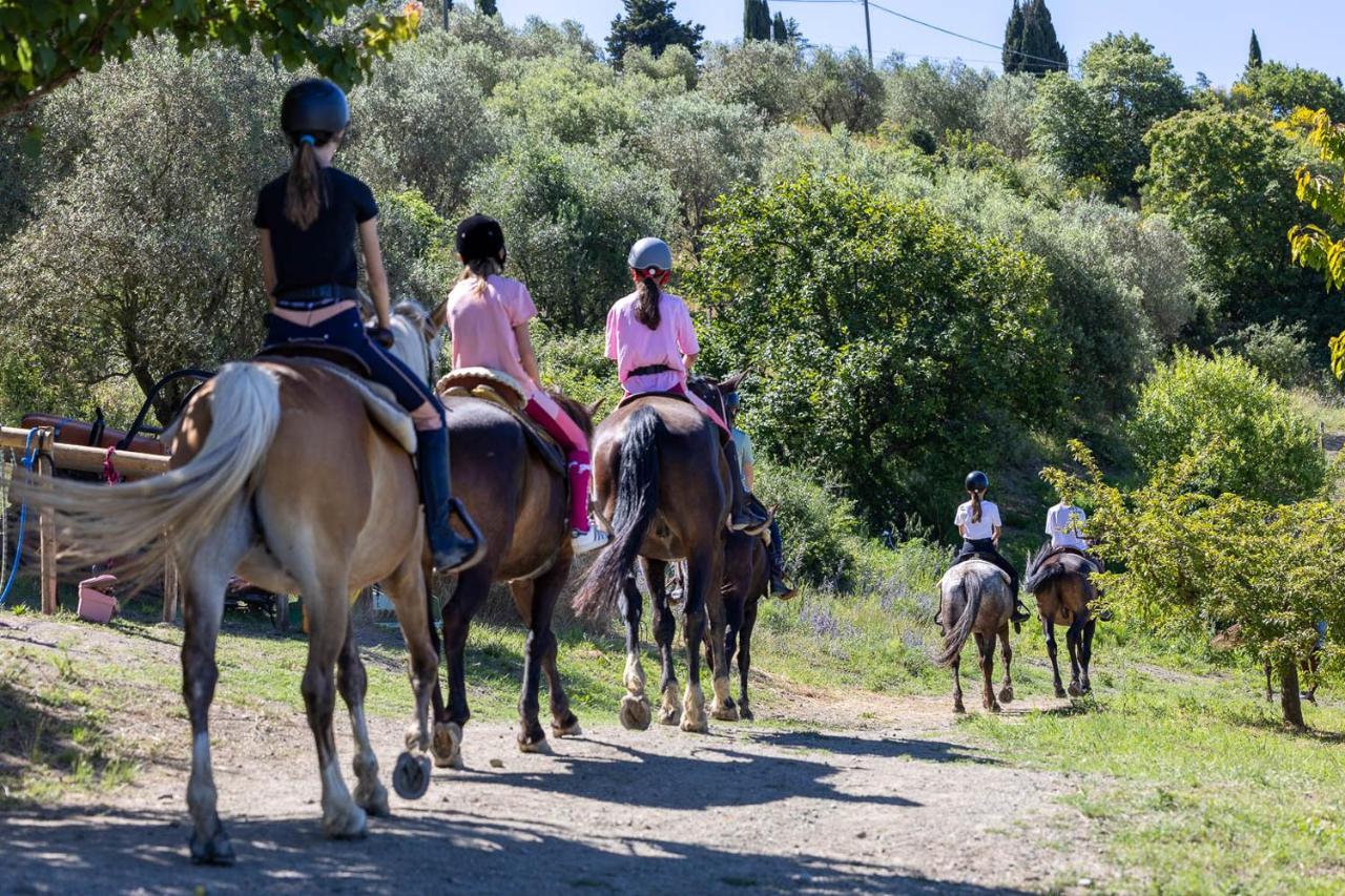 Agriturismo e Maneggio Poggio Leone - 3