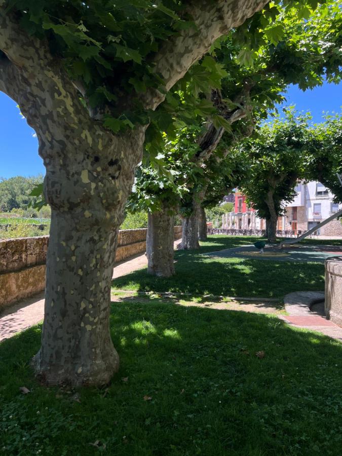 Ribeira Sacra Ledicia - 2