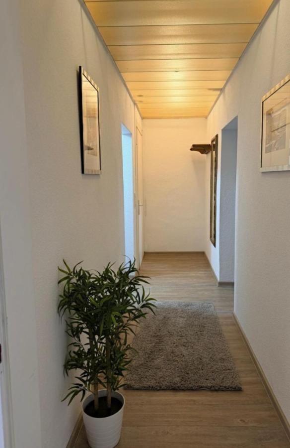 Linden Urban Apartment