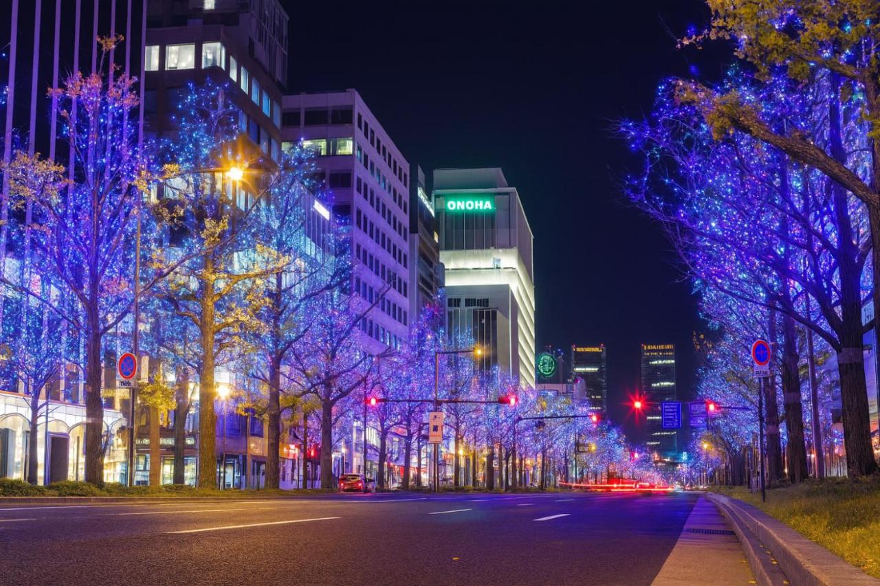 Noahs Ark Comfortable Stay Near Tanimachikyuchome Nipponbashi 2G - 4