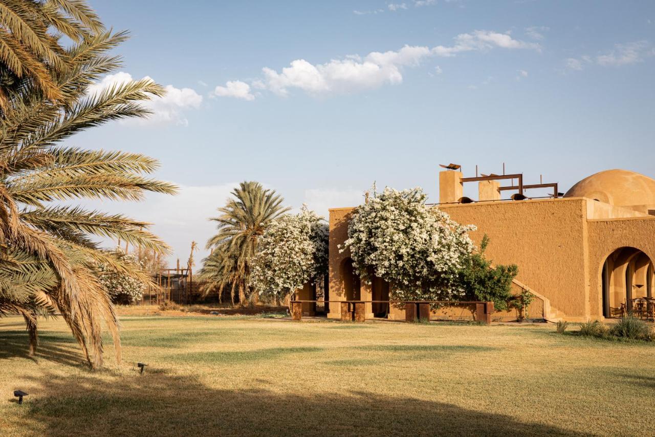 Bliss Terra Janna - 5